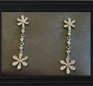 Earrrings (Price is for ticket only not jewelry)